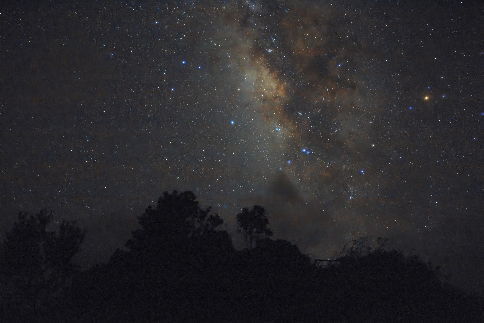 The Milky Way rises above a dark wooded ridge, with a warm galactic core and blue stars.