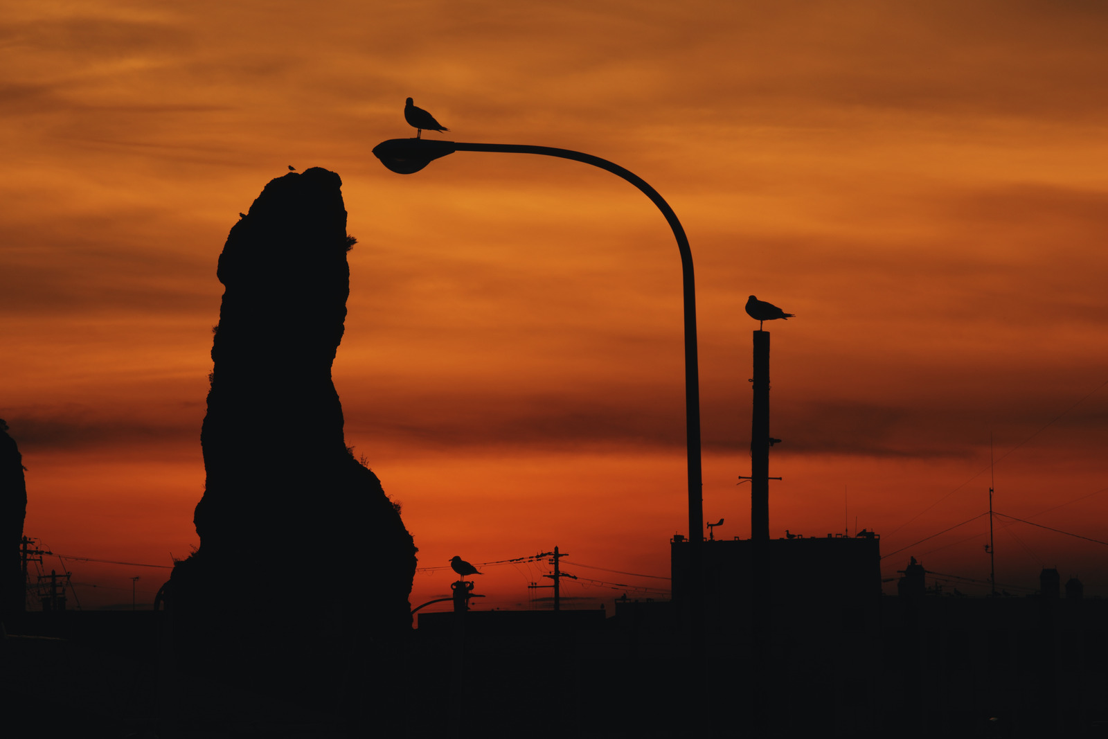 Amber Days preset applied to the same base rendering: Birds perched on street furniture, silhouetted with a tree and rooftops against layered amber clouds.